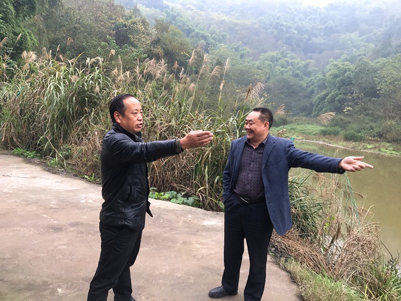 集团董事长实地调研子公司建设情况