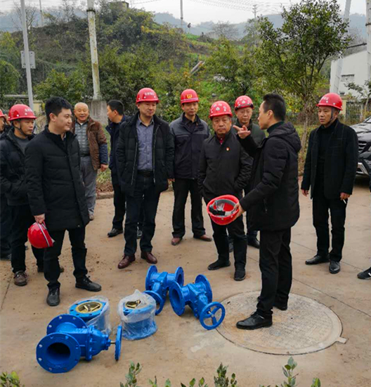 集团领导莅临我司进行元旦节前安全（环保）专项大检查