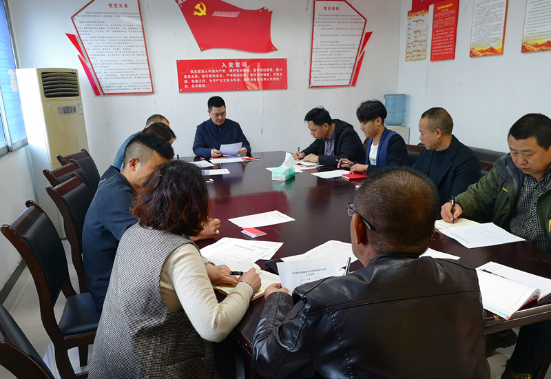 公司党支部召开专题组织生活会