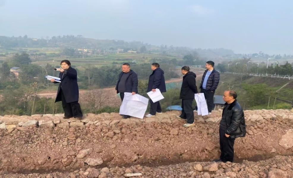 天府村临时弃土场复垦项目顺利通过验收